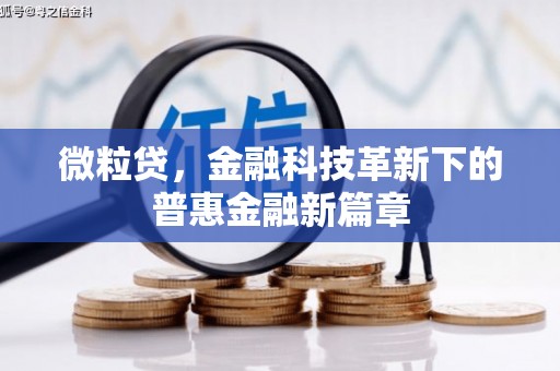 西和微粒贷，金融科技革新下的普惠金融新篇章