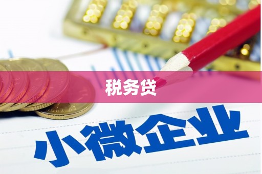 西和税务贷