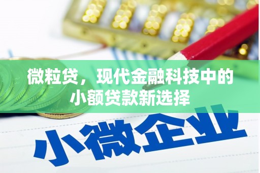 西和微粒贷，现代金融科技中的小额贷款新选择