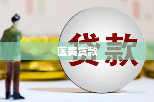 西和医美贷款