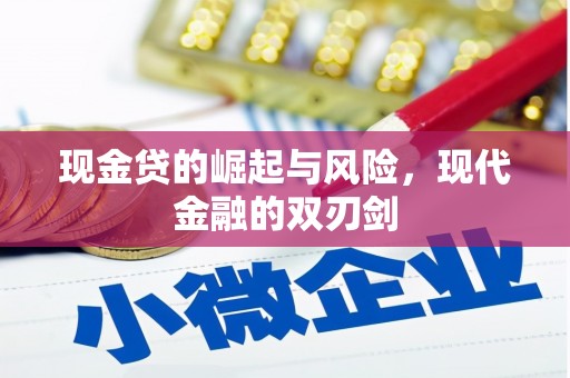 西和现金贷的崛起与风险，现代金融的双刃剑