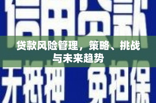 西和贷款风险管理，策略、挑战与未来趋势