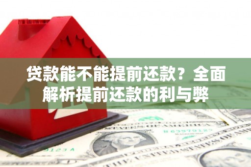 西和贷款能不能提前还款？全面解析提前还款的利与弊