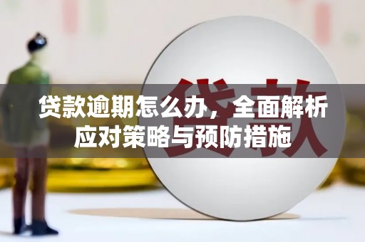 西和贷款逾期怎么办，全面解析应对策略与预防措施