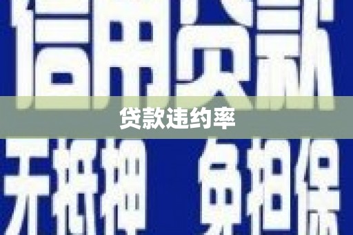 西和贷款违约率