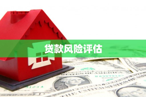 西和贷款风险评估
