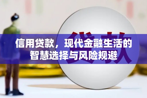 西和信用贷款，现代金融生活的智慧选择与风险规避