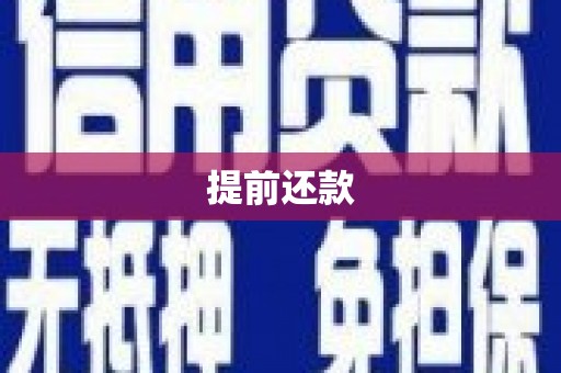 西和提前还款