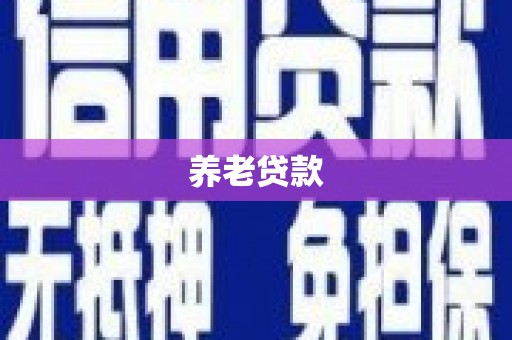 西和养老贷款