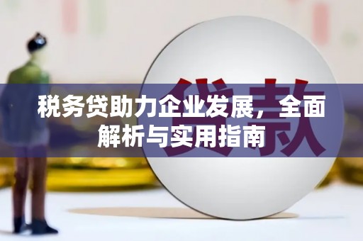 西和税务贷助力企业发展，全面解析与实用指南