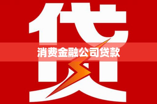 西和消费金融公司贷款