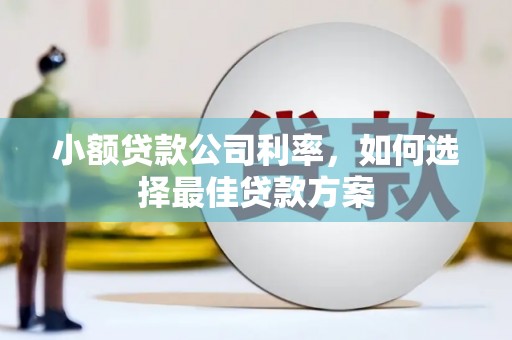 西和小额贷款公司利率，如何选择最佳贷款方案