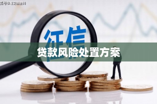 西和贷款风险处置方案