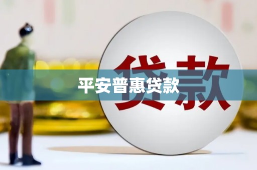 西和平安普惠贷款