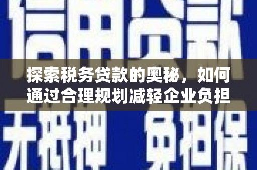 西和探索税务贷款的奥秘，如何通过合理规划减轻企业负担