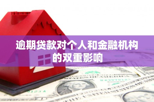 西和逾期贷款对个人和金融机构的双重影响