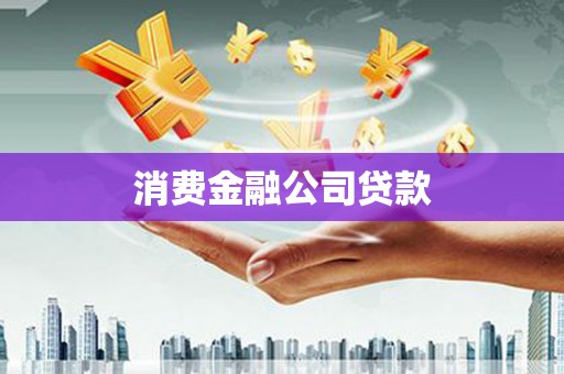 西和消费金融公司贷款