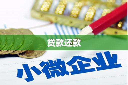 西和贷款还款