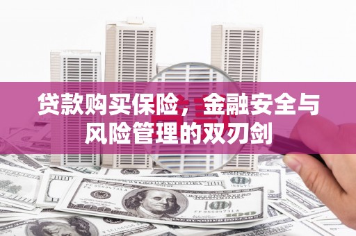 西和贷款购买保险，金融安全与风险管理的双刃剑