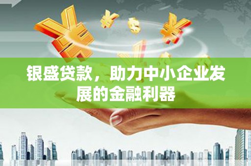 西和银盛贷款，助力中小企业发展的金融利器