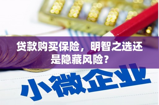 西和贷款购买保险，明智之选还是隐藏风险？