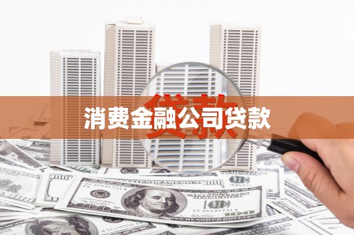 西和消费金融公司贷款
