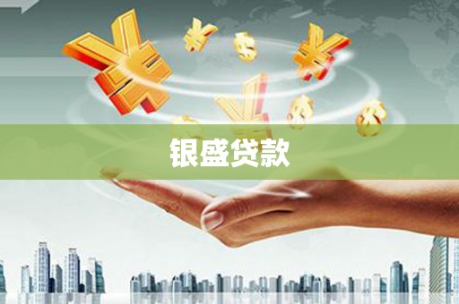西和银盛贷款