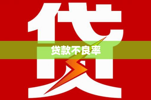 西和贷款不良率