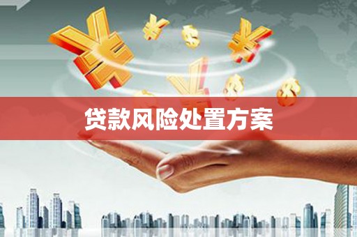 西和贷款风险处置方案