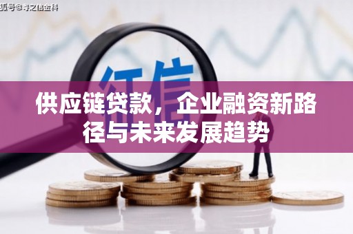 西和供应链贷款，企业融资新路径与未来发展趋势