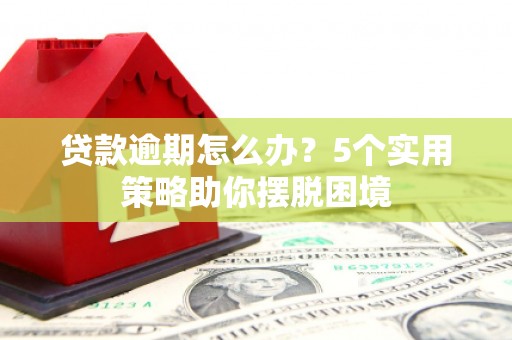 西和贷款逾期怎么办？5个实用策略助你摆脱困境