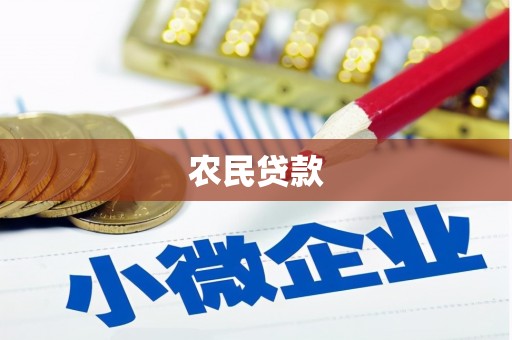 西和农民贷款