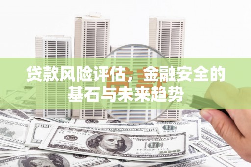 西和贷款风险评估，金融安全的基石与未来趋势