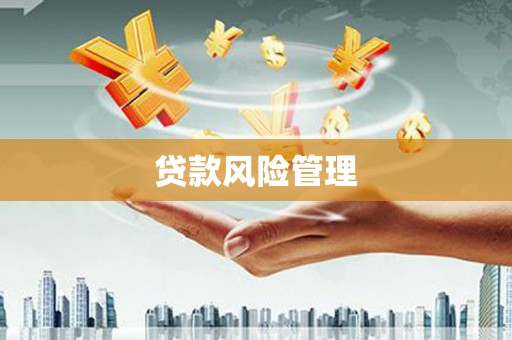 西和贷款风险管理