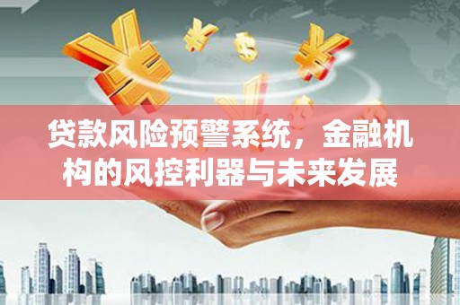 西和贷款风险预警系统，金融机构的风控利器与未来发展