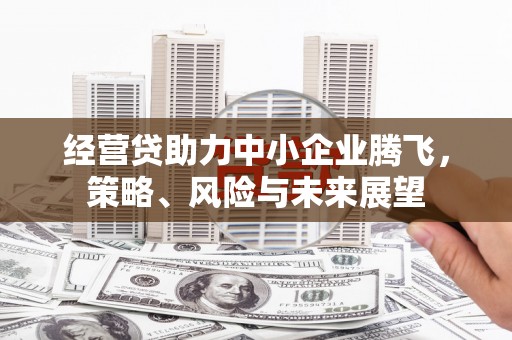 西和经营贷助力中小企业腾飞，策略、风险与未来展望