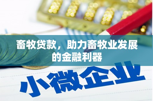 西和畜牧贷款，助力畜牧业发展的金融利器
