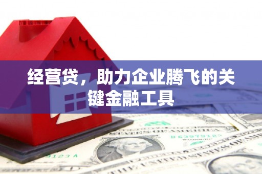 西和经营贷，助力企业腾飞的关键金融工具