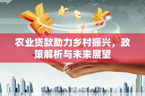 西和农业贷款助力乡村振兴，政策解析与未来展望