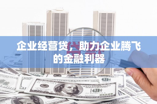 西和企业经营贷，助力企业腾飞的金融利器