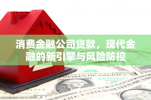 西和消费金融公司贷款，现代金融的新引擎与风险防控