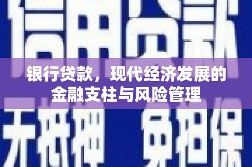 西和银行贷款，现代经济发展的金融支柱与风险管理