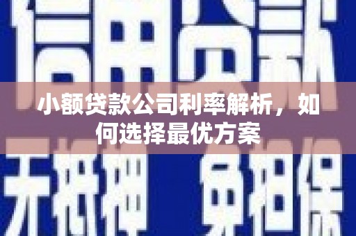 西和小额贷款公司利率解析，如何选择最优方案