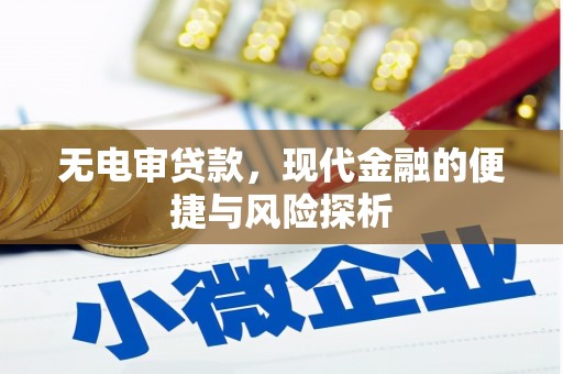 西和无电审贷款，现代金融的便捷与风险探析