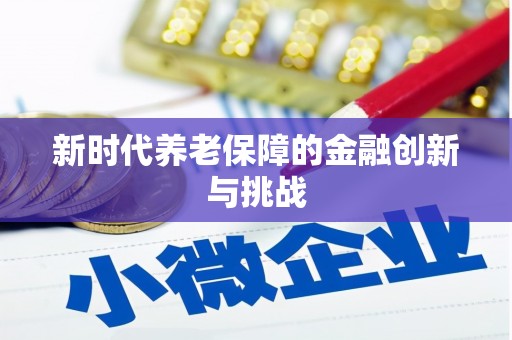 西和新时代养老保障的金融创新与挑战