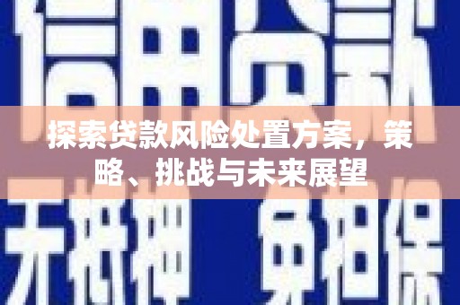 西和探索贷款风险处置方案，策略、挑战与未来展望