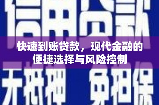 西和快速到账贷款，现代金融的便捷选择与风险控制