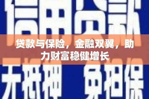 西和贷款与保险，金融双翼，助力财富稳健增长