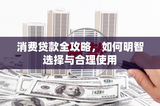西和消费贷款全攻略，如何明智选择与合理使用