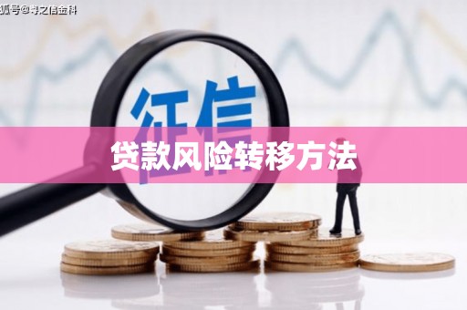 西和贷款风险转移方法
